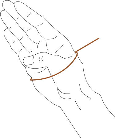 Take the wrist size