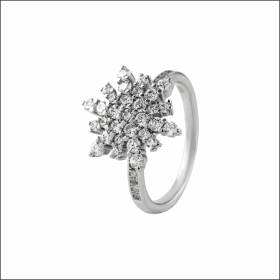 Blooming Brilliance Sterling Silver Ring