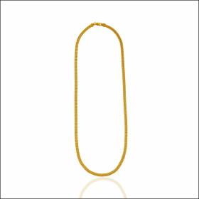 Splendid Chic Gold Chain