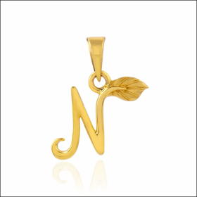Novel N Gold Locket
