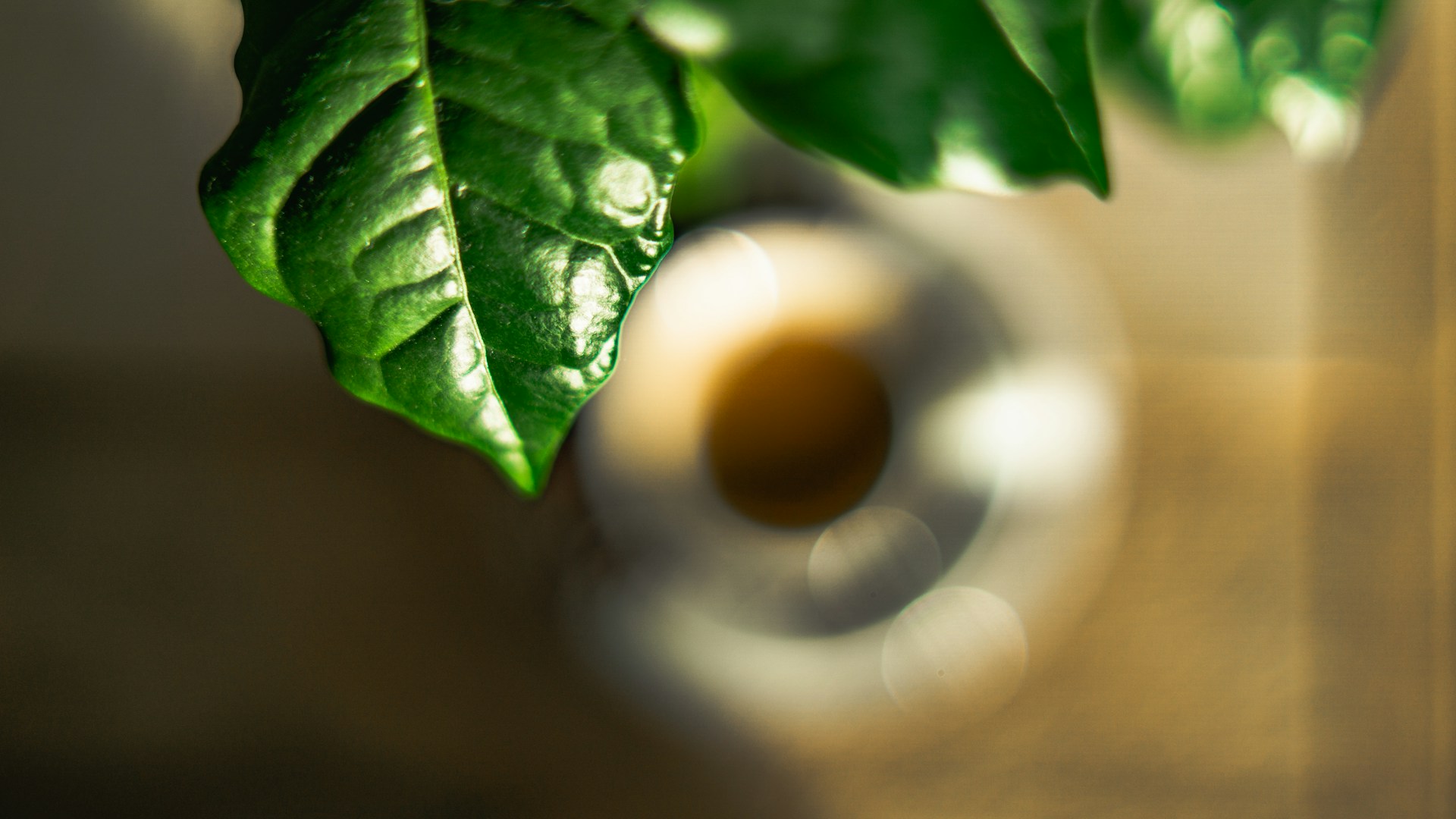 Aisshpra Jewels Wins ‘Bridal Polki Jewellery of the Year’ at the 20th Retail Jeweller India Awards 2025